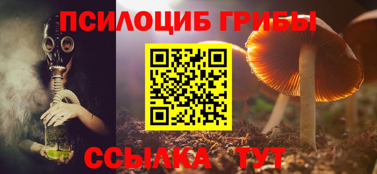 Галлюциногенные грибы GOLDEN TEACHER  Вход с VPN  Серов 
